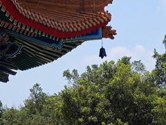 -广东圆玄道观