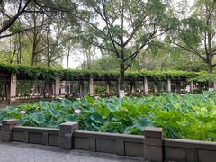 -四川大学(华西校区)