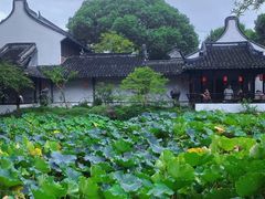 -上海醉白池公园