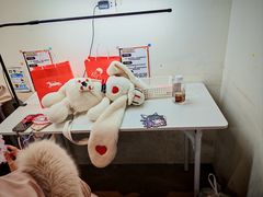 -垚火玩泥吧手作集合店·拼豆·陶艺