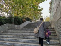 -灞河西岸滨河公园