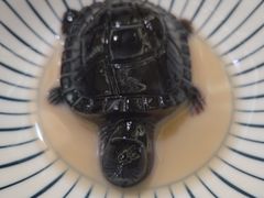 -先启半步颠·川菜小炒