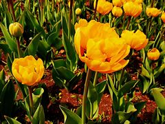 -长春公园(普阳街道)