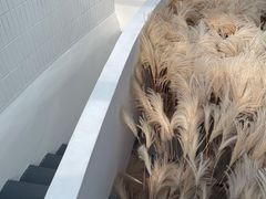 -烧鹅濑(西华路店)