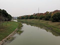 -上海海湾国家森林公园