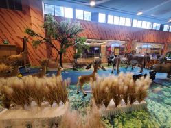 -卡通尼·Safari非洲探索乐园·生日会(金桥国际商业广场店)