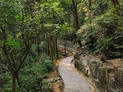 -阳台山森林公园