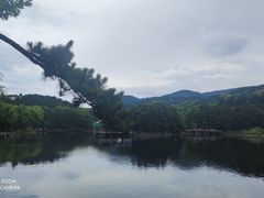 -庐山风景区花径公园