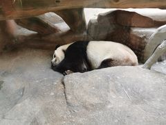 -宁波野生动物园