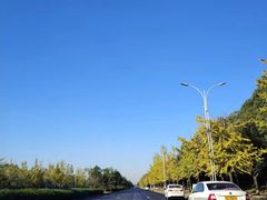 -胜华驾校·小猫学车(银都店)