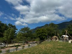 -伟记牛蹄(道滘店)