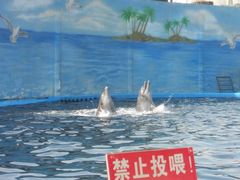 -南昌动物园