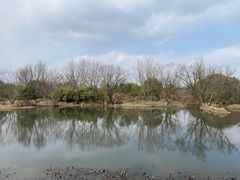 -西溪国家湿地公园