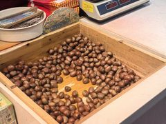 -阿男野栗王(金门路店)