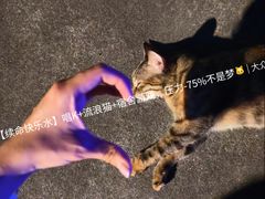 -Xcape异时刻密室逃脱魔法互动(瑞虹天地太阳宫店)