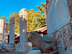 -北京石刻艺术博物馆(五塔寺)