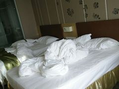 android_upload_pic-南阳建业森林半岛假日酒店