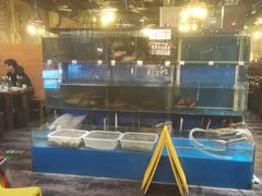 -小俩口烧烤东北菜(双井店)