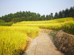 -迪茵湖田家舍生态农场