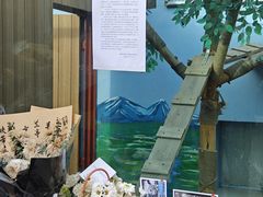 -青藏高原野生动物园