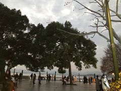 -西湖游船