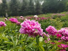 -迎泽公园