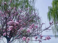 -贡湖湾湿地公园