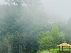 -石台牯牛降景区