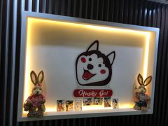 -Husky Go! 哈士奇体验馆·宠物咖啡厅狗咖