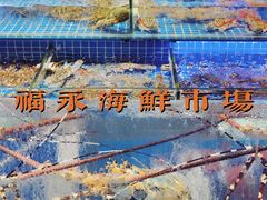 -大东海海鲜酒楼(渔人码头总店)