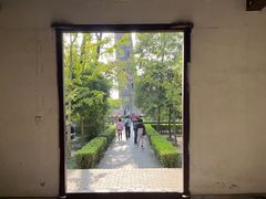 -上海佘山国家森林公园天马山园