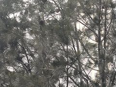 -平安金融中心云际观光层