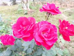 -韶关经律论国际酒店温泉