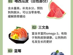 -美联众合动物医院·24h转诊中心