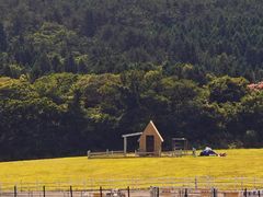 -济州森林小火车生态公园