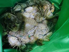 -马王堆海鲜水产市场