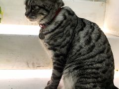 -小时光咖啡馆(北锣鼓巷店)