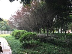 -西南政法大学(渝北校区)