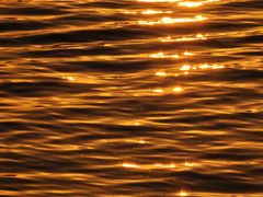 -湖畔居茶楼(湖滨店)