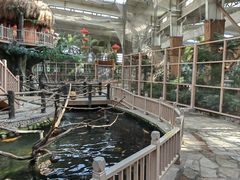 -南宫五洲植物乐园