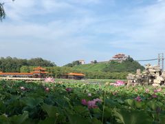 -南戴河国际娱乐中心