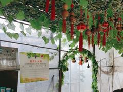 -马陆小张葡萄园农家乐