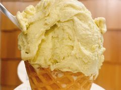 -野人先生现做冰淇淋(北京顺义祥云小镇店)
