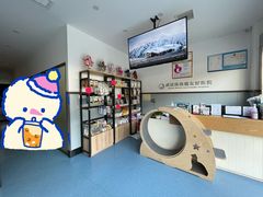 -伟伟宠物医院·瑞派猫友好医院·猫科(光谷店)