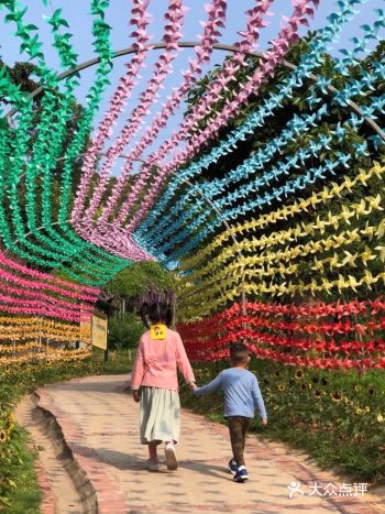 解锁户外探险儿童乐园|来一次说走就走的探险之旅吧️