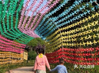 解锁户外探险儿童乐园｜来一次说走就走的探险之旅吧️