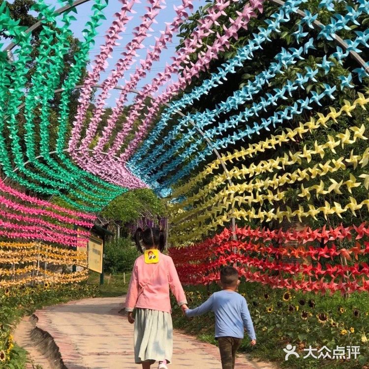 👍🏻解锁户外探险儿童乐园|来一次说走就走的探险之旅吧❗️