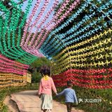 👍🏻解锁户外探险儿童乐园｜来一次说走就走的探险之旅吧❗️