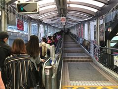 -中环半山扶手电梯