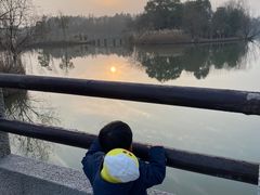 -苏州太湖国家湿地公园